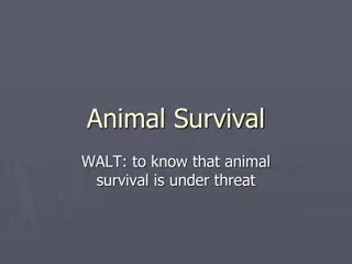 Animal Survival
