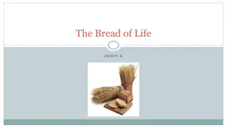 Exploring Motivations in Scripture: The Bread of Life