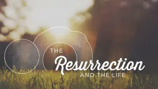 Reflections on Hope and Eternal Life