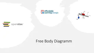 Free Body Diagramm