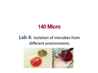 Isolation of Microorganisms from Different Environments