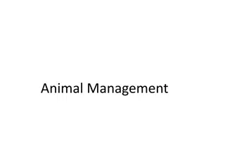 Animal Management