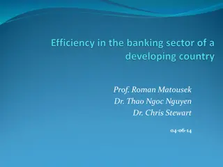 Analysis of Vietnamese Banking System Efficiency