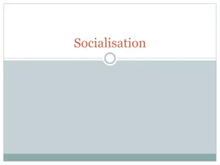 Socialisation