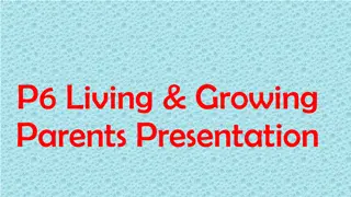 Sex Education in P6: Curriculum Integration and Parental Support