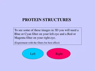 PROTEIN STRUCTURES
