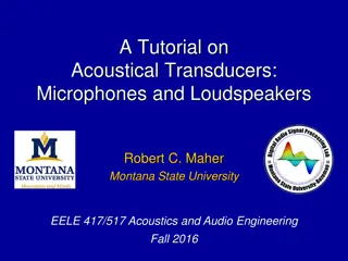 Acoustical Transducers: Microphones and Loudspeakers Overview