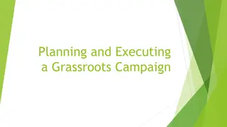 Grassroots Campaign Planning & Execution