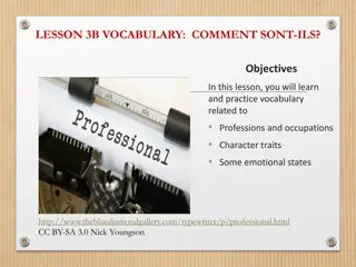 LESSON 3B VOCABULARY:  COMMENT SONT-ILS?