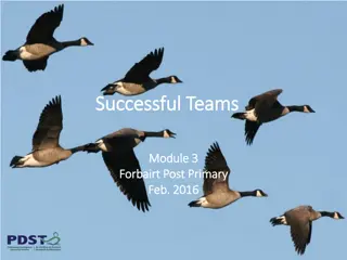 Successful Teams Successful Teams