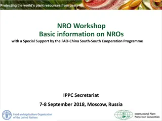 NRO Workshop Basic information on NROs