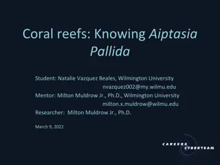 Coral Reefs: Knowing Aiptasia Pallida