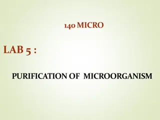 Purification of Microorganisms: Cultures and Techniques