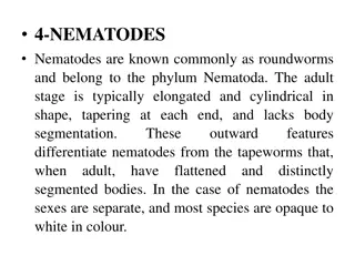 • 4-NEMATODES