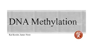 DNA Methylation