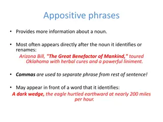 Appositive phrases