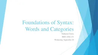 Foundations of Syntax: Words and Categories Overview