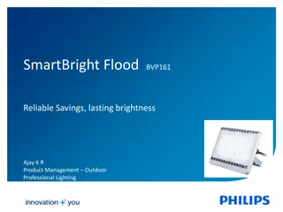 SmartBright Flood
