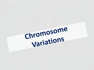 Alterations in Chromosome Number: Euploid, Polyploid, Aneuploid