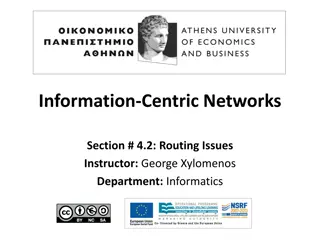 Routing Issues in Information-Centric Networks