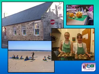 History of Elgin Youth Development Group