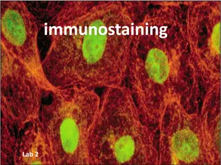 immunostaining