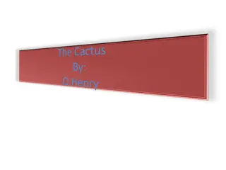 The Cactus: A Story of Impatience and Revelation