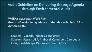 Guidelines for Delivering the 2030 Agenda Through Environmental Audit