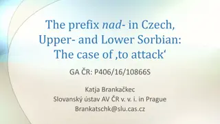 The Prefix 