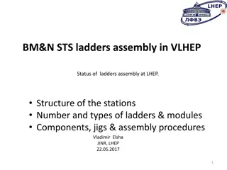 BM&N.STS Ladders Assembly at VLHEP: Structure, Components, Procedures