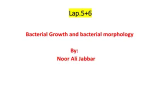 Bacterial Growth and Morphology Overview