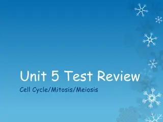 Cell Cycle Mitosis Meiosis: Test Review Overview