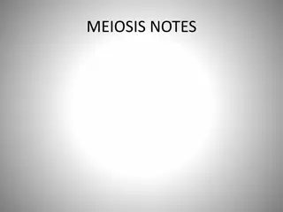 MEIOSIS NOTES