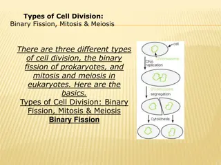 Types of Cell Division: Binary Fission, Mitosis & Meiosis