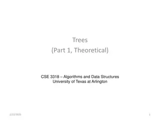 Types of Binary Trees