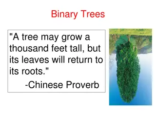 Binary Trees: Concepts and Properties