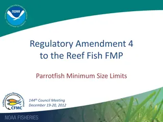 Amendment 4 to the Reef Fish FMP: Parrotfish Minimum Size Limits