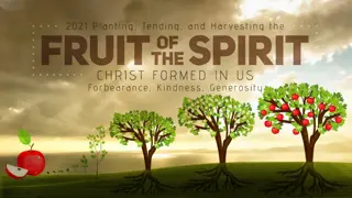 Embracing God's Fruit: A Journey of Transformation