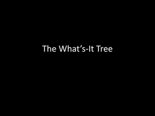Beautiful Tree Varieties and Their Stunning Transformations