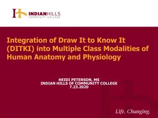 Integration of Draw It to Know It  (DITKI) into Multiple Class Modalities of Human Anatomy and Physiology