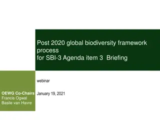 Post-2020 Global Biodiversity Framework Process Briefing