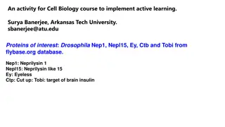 Implementing Active Learning in Cell Biology