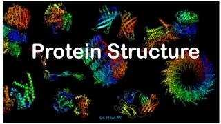 Protein Structure