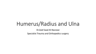 Humerus/Radius and Ulna