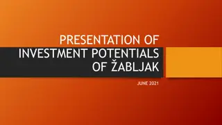 PRESENTATION OF INVESTMENT POTENTIALS OF ZABLJAK