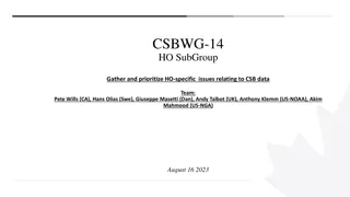 Gathering and Prioritizing HO-specific Issues Relating to CSB Data Team