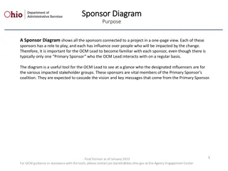 Sponsor Diagram for Change Initiative
