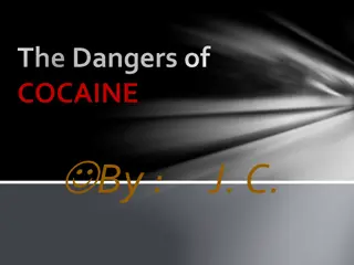 The Dangers of Cocaine: An Insightful Analysis