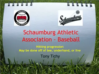 Schaumburg Athletic Association - Baseball