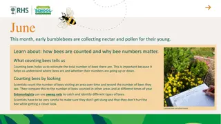 Counting Bees: Why Bee Numbers Matter